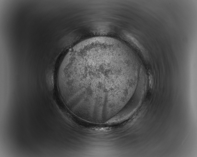 X0000088450638200705291513