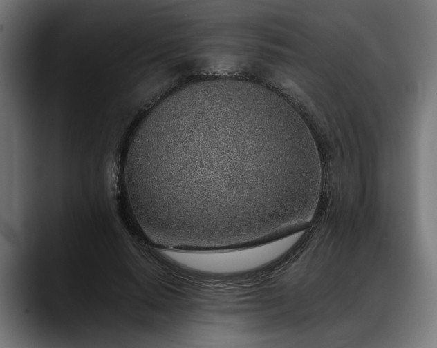 X0000088450640200705291513