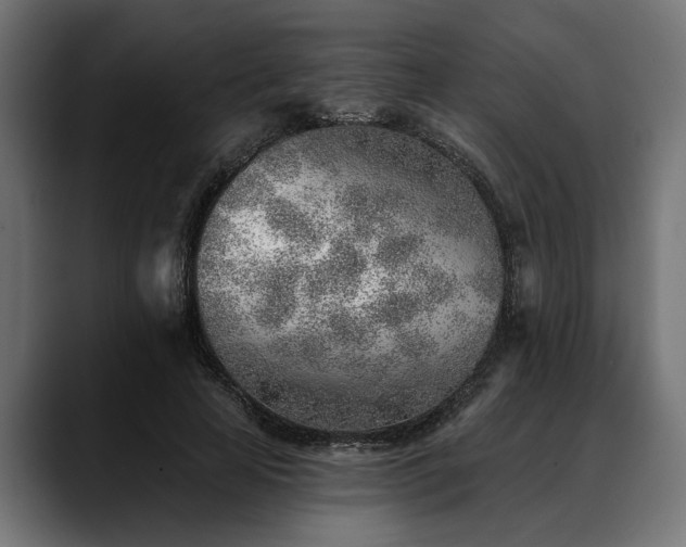 X0000088450641200705291513