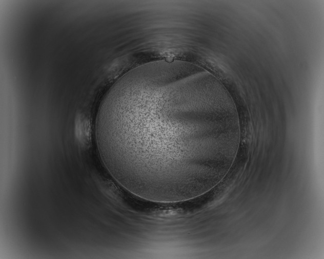 X0000088450646200705291513