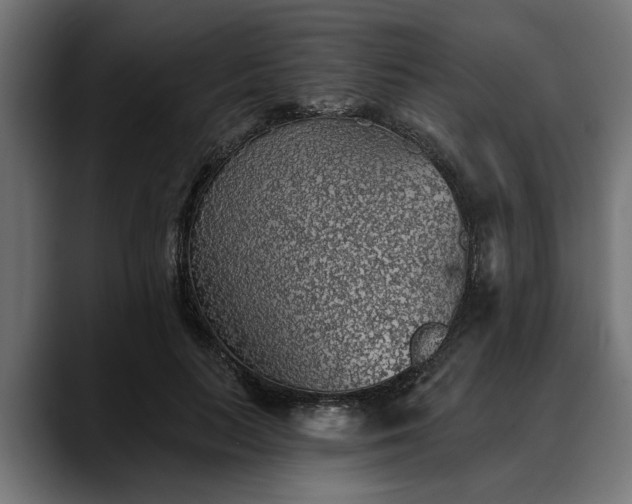 X0000088450647200705291513