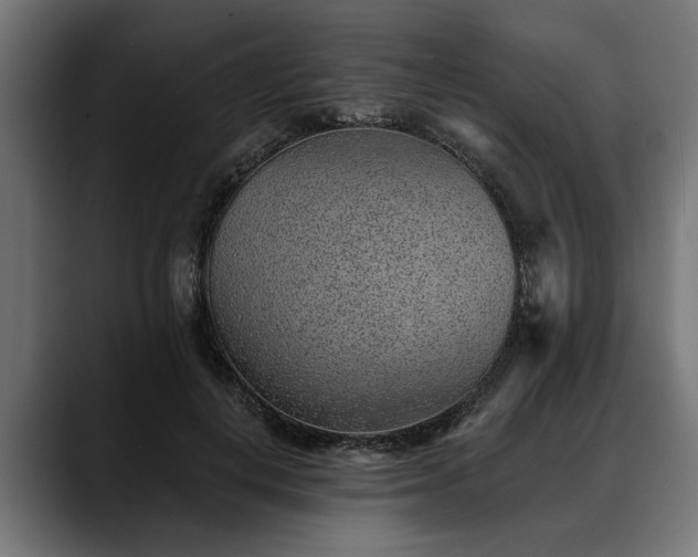 X0000088450648200705291513