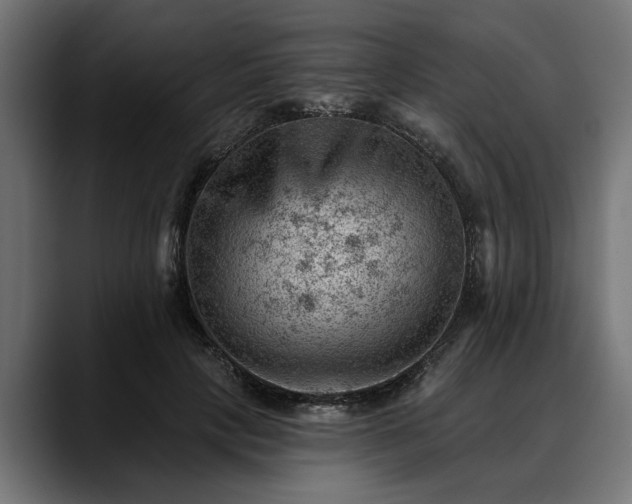 X0000088450649200705291513