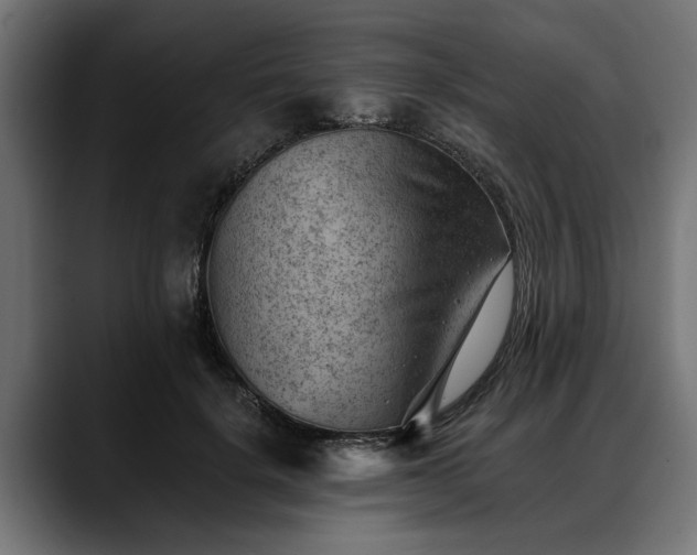 X0000088450652200705291513