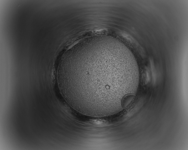 X0000088450654200705291513