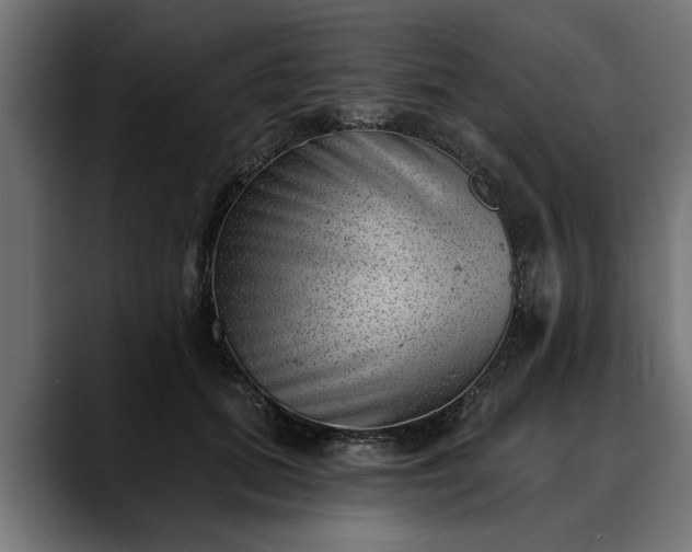 X0000088450655200705291513
