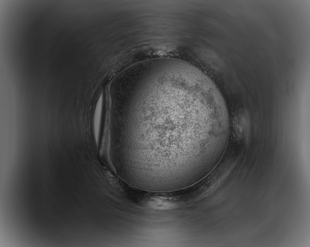 X0000088450657200705291513