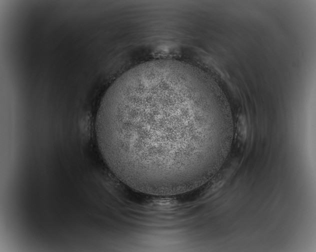 X0000088450659200705291513