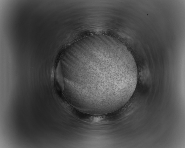 X0000088450662200705291513