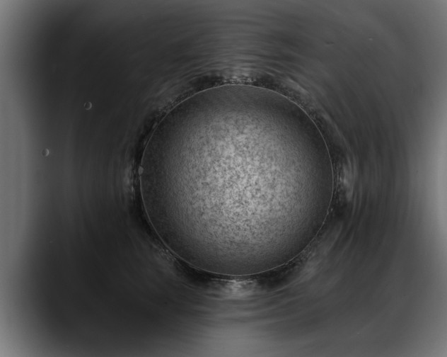 X0000088450663200705291513
