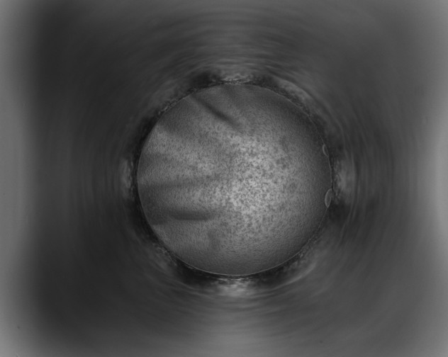 X0000088450667200705291513