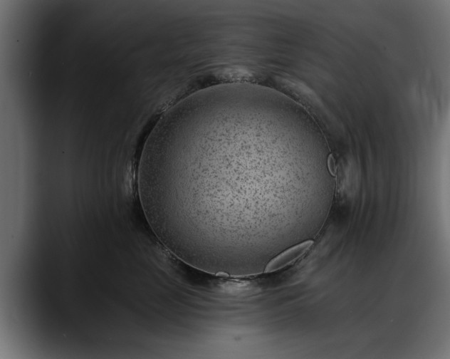 X0000088450669200705291513