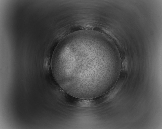 X0000088450671200705291513