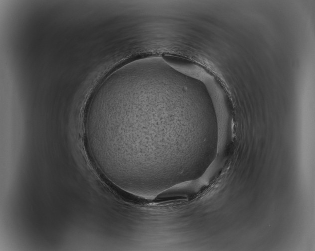 X0000088450673200705291513