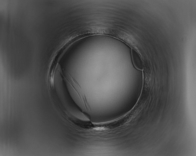 X0000088450674200705291513