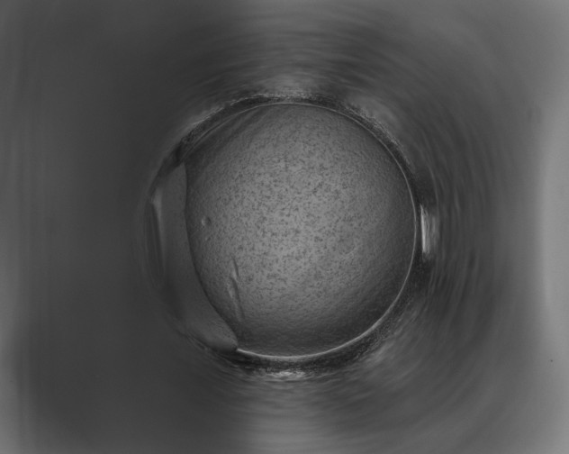 X0000088450675200705291513