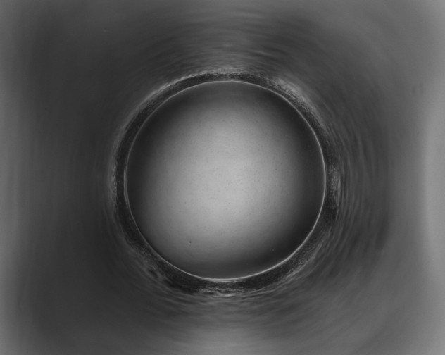 X0000088450676200705291513