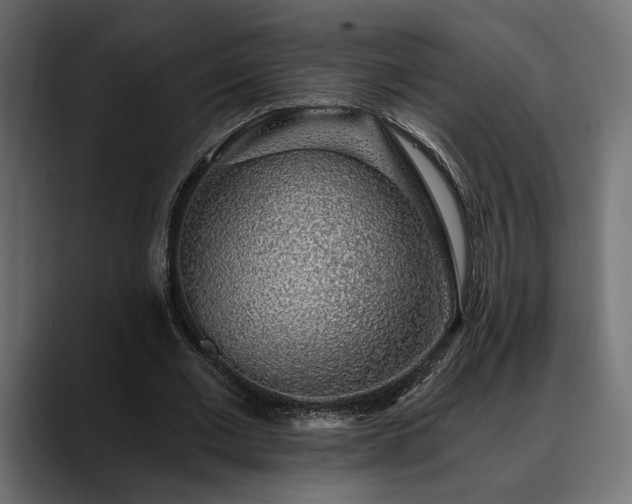 X0000088450677200705291513