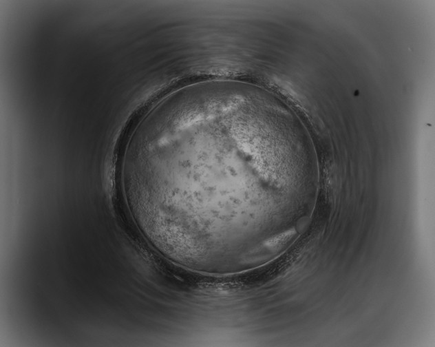 X0000088450679200705291513