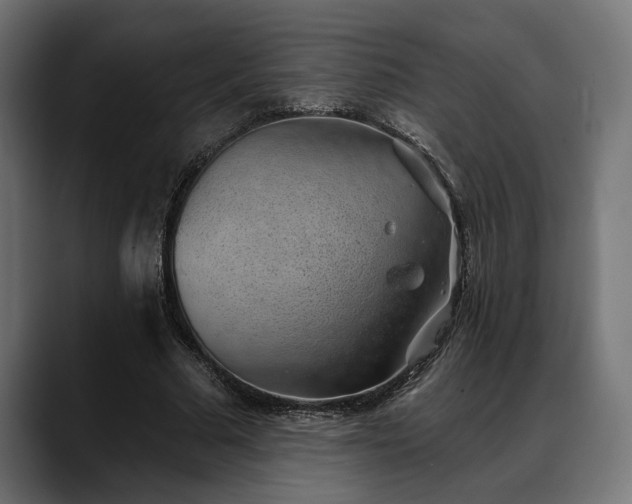 X0000088450681200705291513