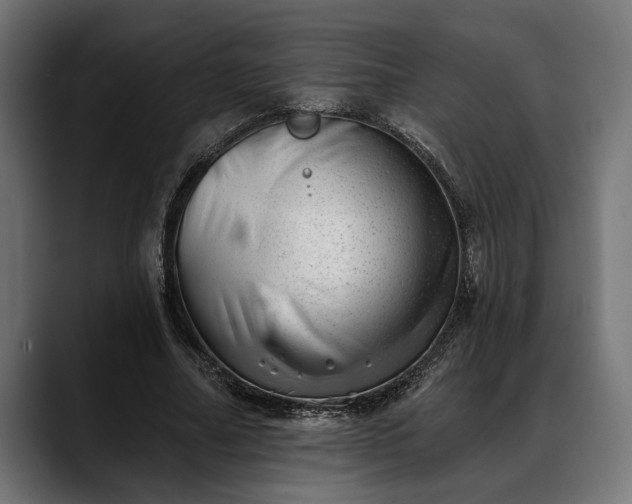 X0000088450682200705291513