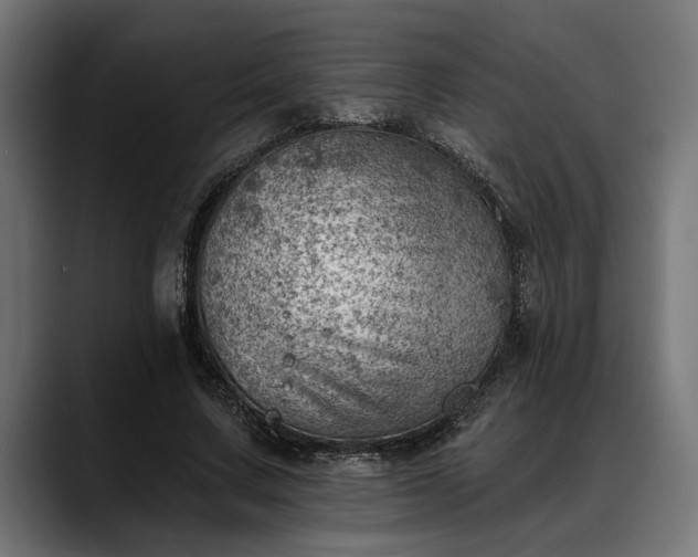 X0000088450683200705291513