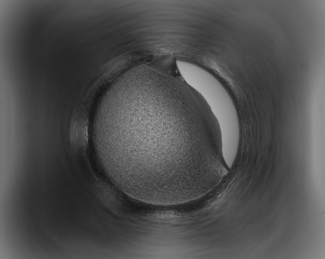 X0000088450685200705291513
