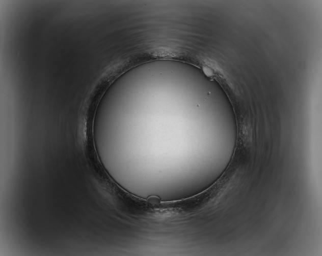 X0000088450686200705291513