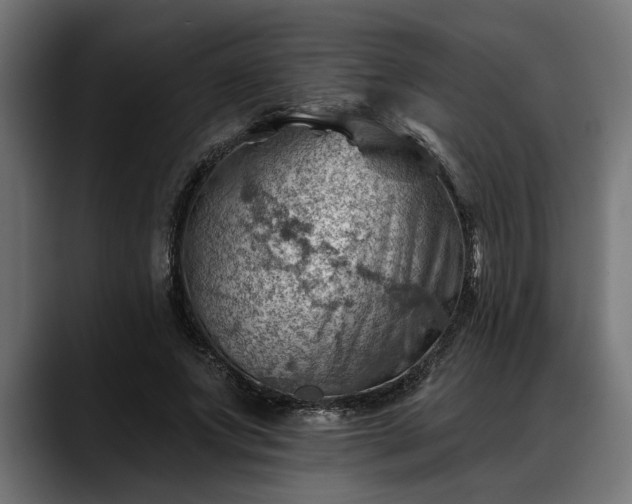 X0000088450687200705291513