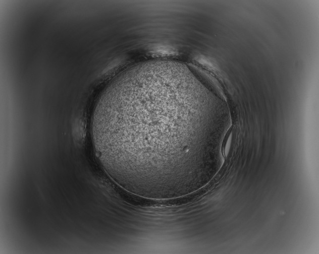 X0000088450691200705291513