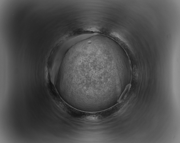 X0000088450692200705291513