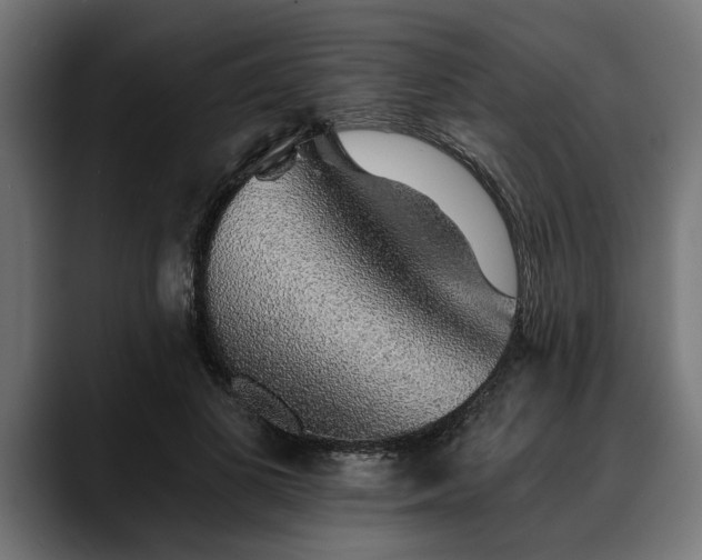 X0000088450693200705291513