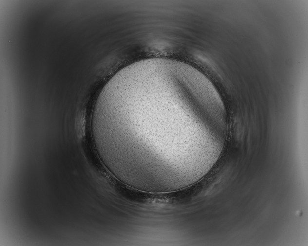 X0000088450694200705291513