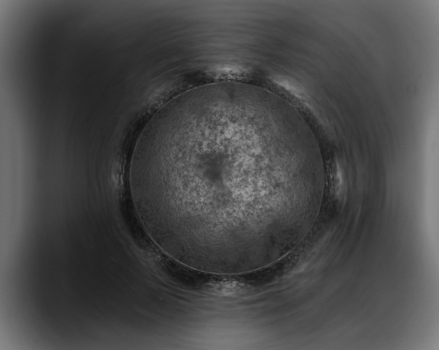 X0000088450695200705291513