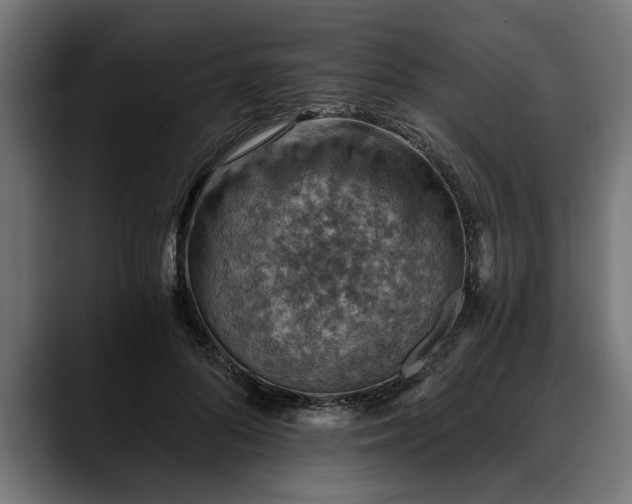 X0000088450696200705291513