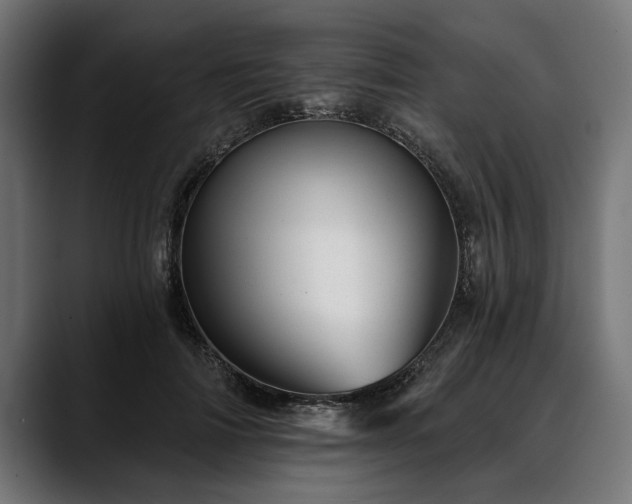 X0000088450698200705291513