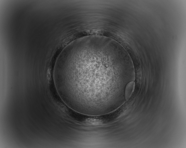 X0000088450699200705291513