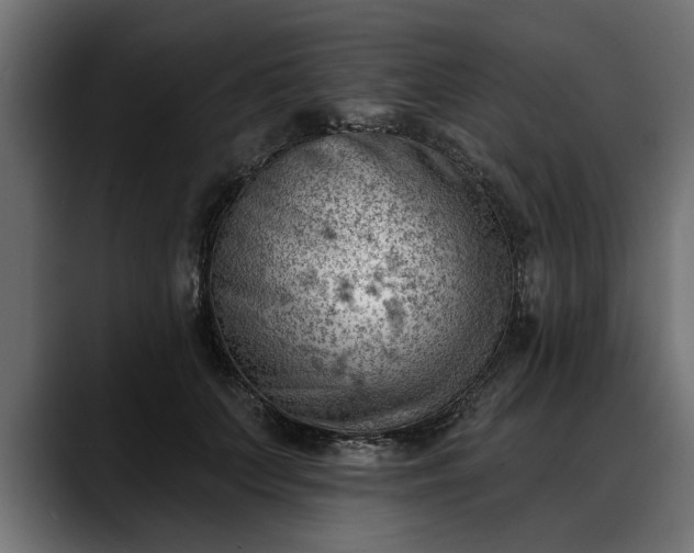 X0000088450703200705291513