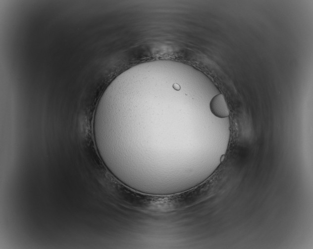 X0000088450705200705291513