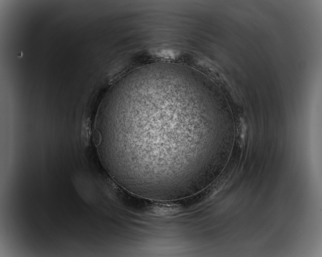 X0000088450707200705291513