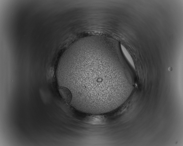 X0000088450711200705291512