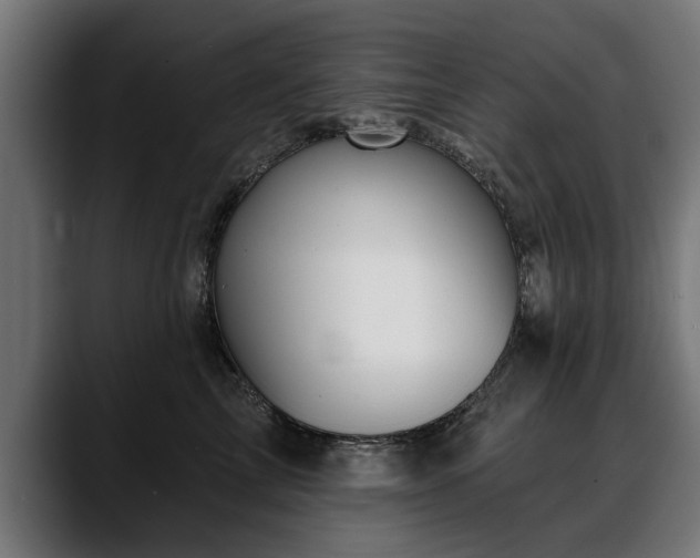 X0000088450713200705291512