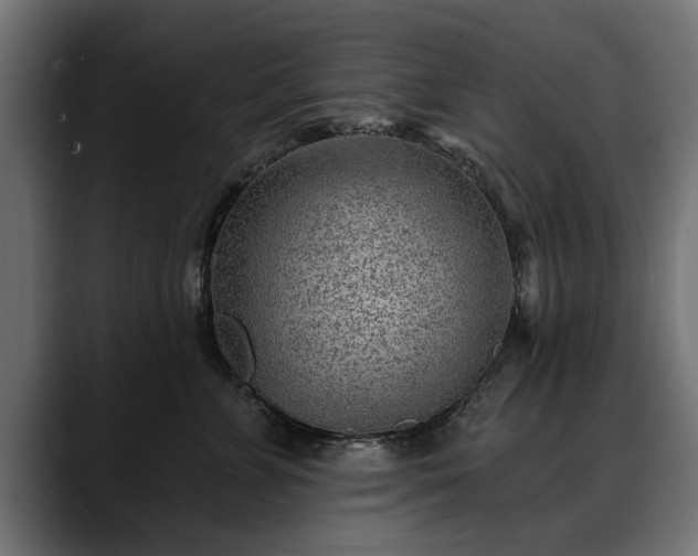 X0000088450715200705291512