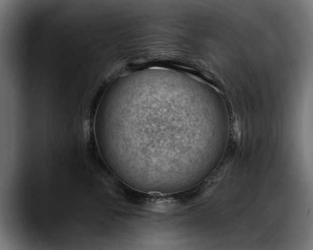 X0000088450716200705291512