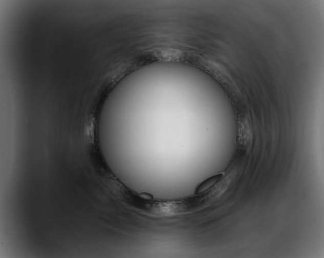 X0000088450717200705291512
