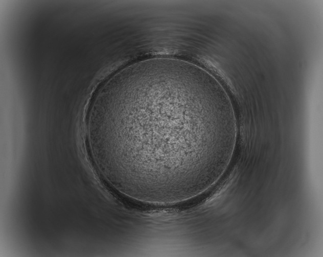 X0000088450721200705291512