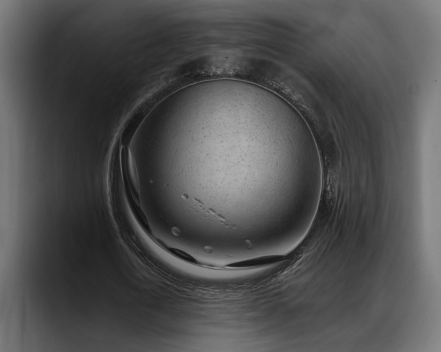 X0000088450722200705291512