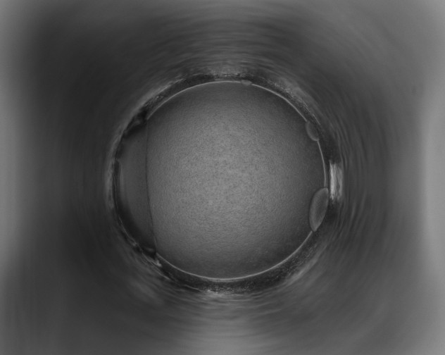 X0000088450723200705291512