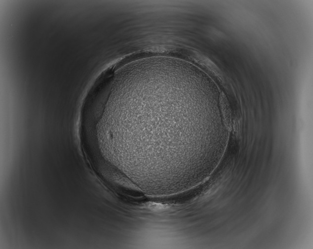 X0000088450724200705291512