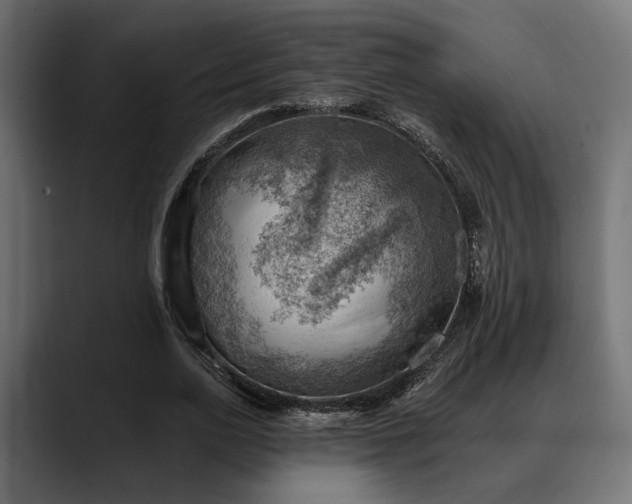 X0000088450726200705291512